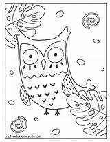 Eule Malvorlage Owls Eulen Gufo Pagina Verbnow Aufmerksam sketch template