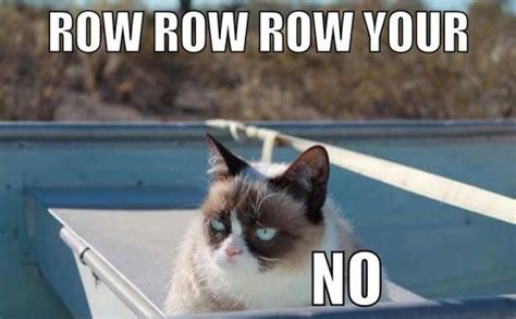 Top 10 Grumpy Cat Memes