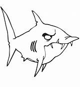 Shark Sharks Tiburon Toro Coloringhome Coloringme sketch template