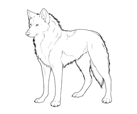 printable wolf coloring pages  kids animal place