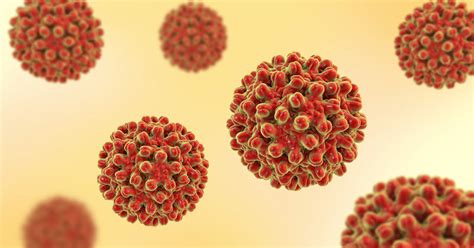 Hepatitis A Hep A Causes Symptoms Diagnosis Treatment And Preventions