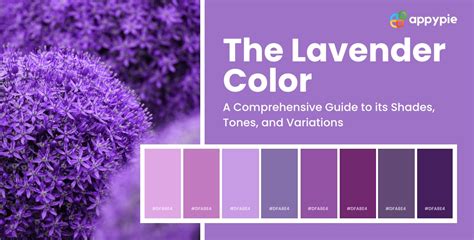 lavender color shades tones variations  lavender colour