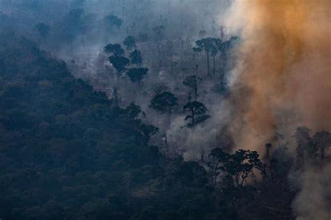 opinion how to save the amazon without condescending to brazil the new york times
