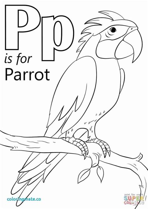 letter p coloring pages beautiful   parrot outstanding olegratiy