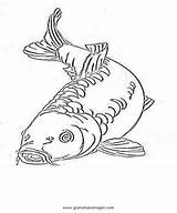 Karpfen Malvorlage Fische Ausmalen Malvorlagen Kategorien sketch template
