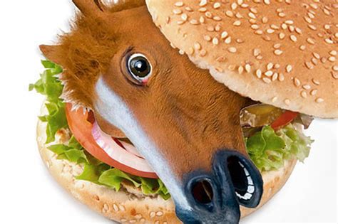 record  restaurant chains deny serving horse meat