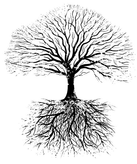 tree roots clipart black  white   cliparts  images