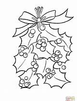 Coloring Holly Christmas Pages Mistletoe Leaves Berries Red Tree Bright Ben Drawing Printable Fall Cartoon Merry Colouring Getcolorings Quotes Colorings sketch template