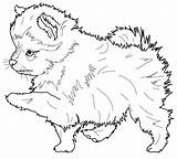 Coloring Pomeranian Pages Dog Printable Puppy Beagle Drawing English Dachshund Color Yankees Newfoundland Sheets Hard Old Supercoloring Books Spitz Puppies sketch template