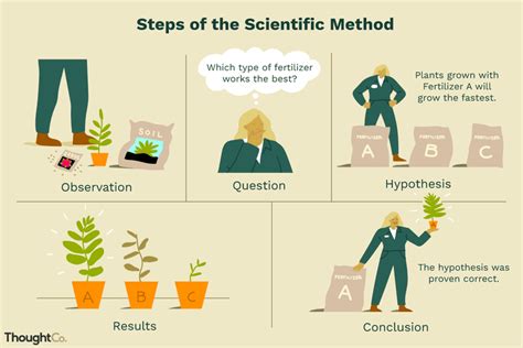 scientific method definition  examples