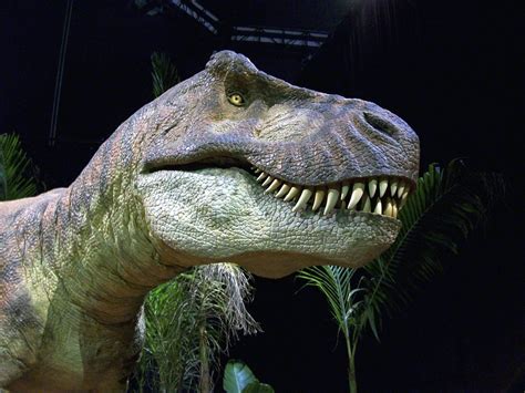 Konsep Populer Dinosaurier Bilder T Rex Yang Terbaru
