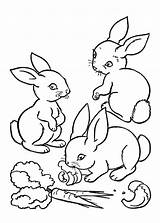 Conigli Vorlagen Coniglio Ausdrucken Malen Einhorn Hase Malvorlage Vorlage Pianetabambini Genial Rabbits Vegetable Hasen Versione sketch template