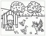 Coloring Hen Red Little Pages Printable Coloriage Poule Henhouse Colouring Sheet Clipart Story Mewarnai Kids Preschool Popular Sheets House Gif sketch template