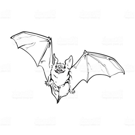 flying bat drawing  paintingvalleycom explore collection  flying