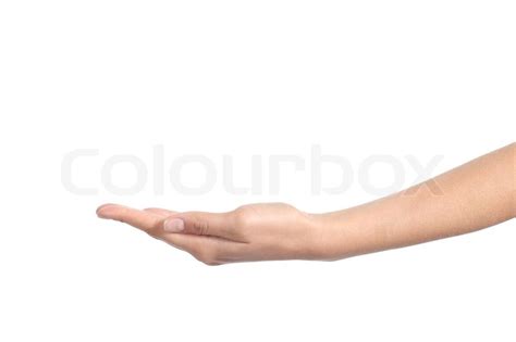 side view   woman hand  palm  stock image colourbox
