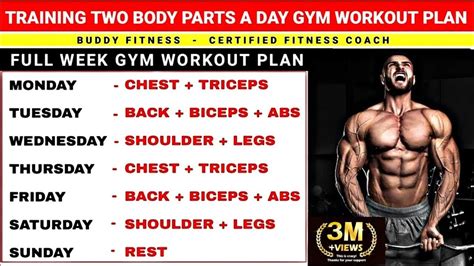 body parts  day workout plan gym workout  body parts