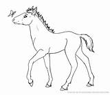 Foal Plaguedog Lineart sketch template
