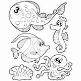 Coloring Surfnetkids Marine Mammals Fish Pages Animals Animal Previous Choose Board sketch template