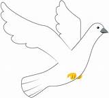 Clipart Dove Creazilla Doves sketch template