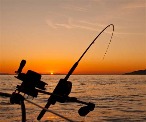 ribolovni carter hit fishing  tours umag istra