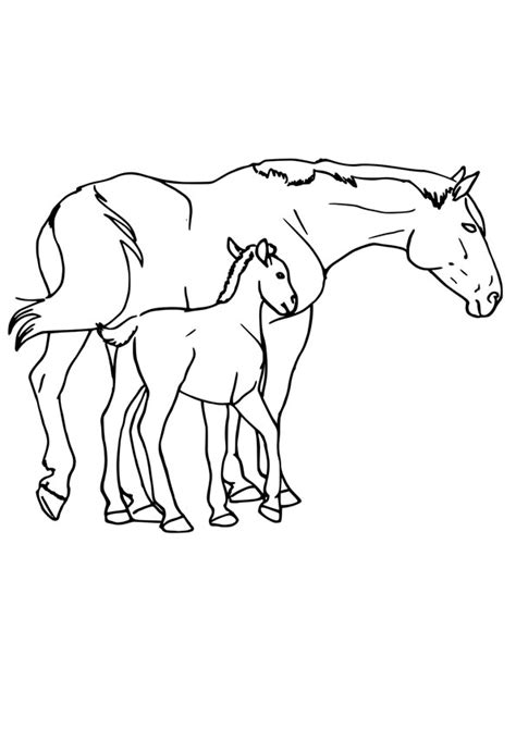 mom  baby horse coloring pages coloring  sticker fun dover