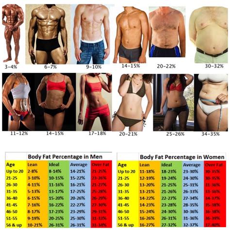 body fat percentage personal trainer birstall batley