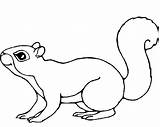 Squirrel Squirrels Everfreecoloring Dxf sketch template