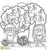 Coloring Kids Harvesting Cherries Illustration Pages Dreamstime Apple sketch template