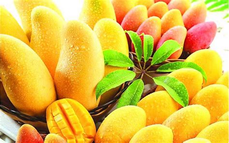feria del mango dominicano en madrid soy caribe premium