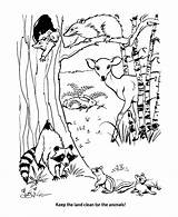 Coloring Pages Earth Habitats Natural Sheets Animal Conservation Habitat Protect Activity Nature Resources Adult Honkingdonkey Colouring Kids Environment Biomes Popular sketch template