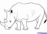 Rhino Rhinoceros Badak Mewarnai Binatang Rhinos Skills Coloringbay Untuk Designlooter sketch template