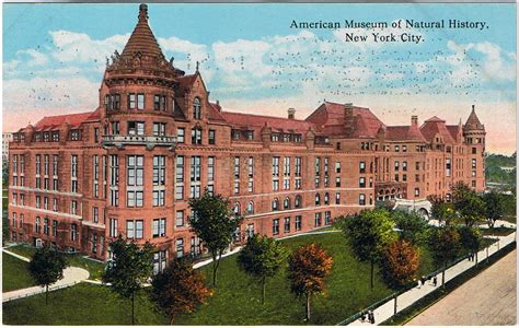 fileamerican museum  natural history  york citypng wikimedia