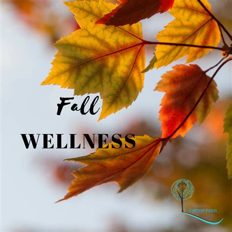 6 fall wellness tips therapy blog new york ny 10017