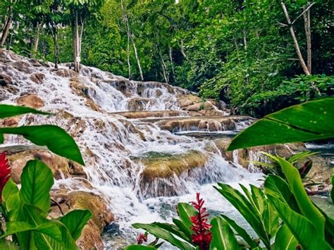 Unmissable Things To Do In Ocho Rios Jamaica Travel Done Clever