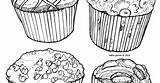 Muffins Coloring sketch template