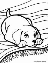 Coloring Dog Pages Easy Getcolorings sketch template