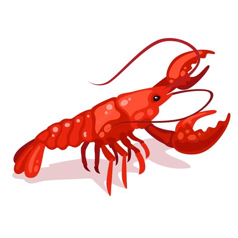 crayfish clipart  collection  illustrations depicting  clip