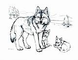 Coloring Pages Wolf Minecraft Pup Wolves Dog Winged Wings Getdrawings Getcolorings Print Colorings sketch template