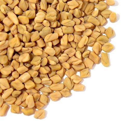 buy  fenugreek seeds  methi seeds  bulk spice jungle