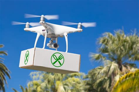 poll     delivery drone service walmart drones