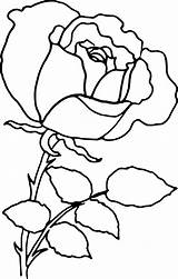 Outline Rose Roses Clipart Drawing Outlines Clipartix sketch template