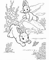 Coloring Pages Rabbits Baby Color Kids sketch template