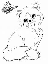Ausmalbilder Katzen Katze Schmetterling Drucken sketch template