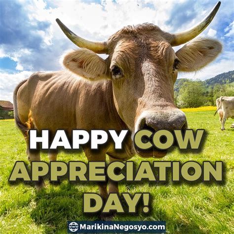 happy  appreciation day cows happy celebration marikinanegosyo