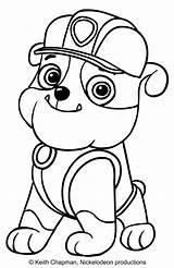 Patrol Rubble Paw Coloring Printable Sitting Front Cartonionline sketch template
