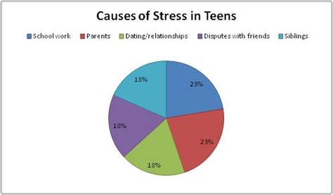 causes teen stress