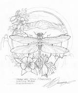 Bergsma Coloring Pages Book Original Sketches Press Journey Paintings Choose Board Drawing Dragonfly sketch template