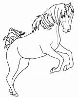 Kleurplaten Paarden Springen Arabian sketch template