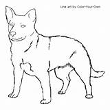 Dog Coloring Cattle Australian Pages Heeler Blue Line Color Drawings Own Kids Standing Designlooter Sketch Aussie Template 500px 48kb sketch template