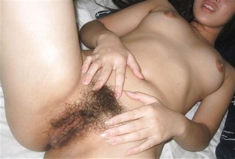 korean hairy pussy pussy pictures asses boobs